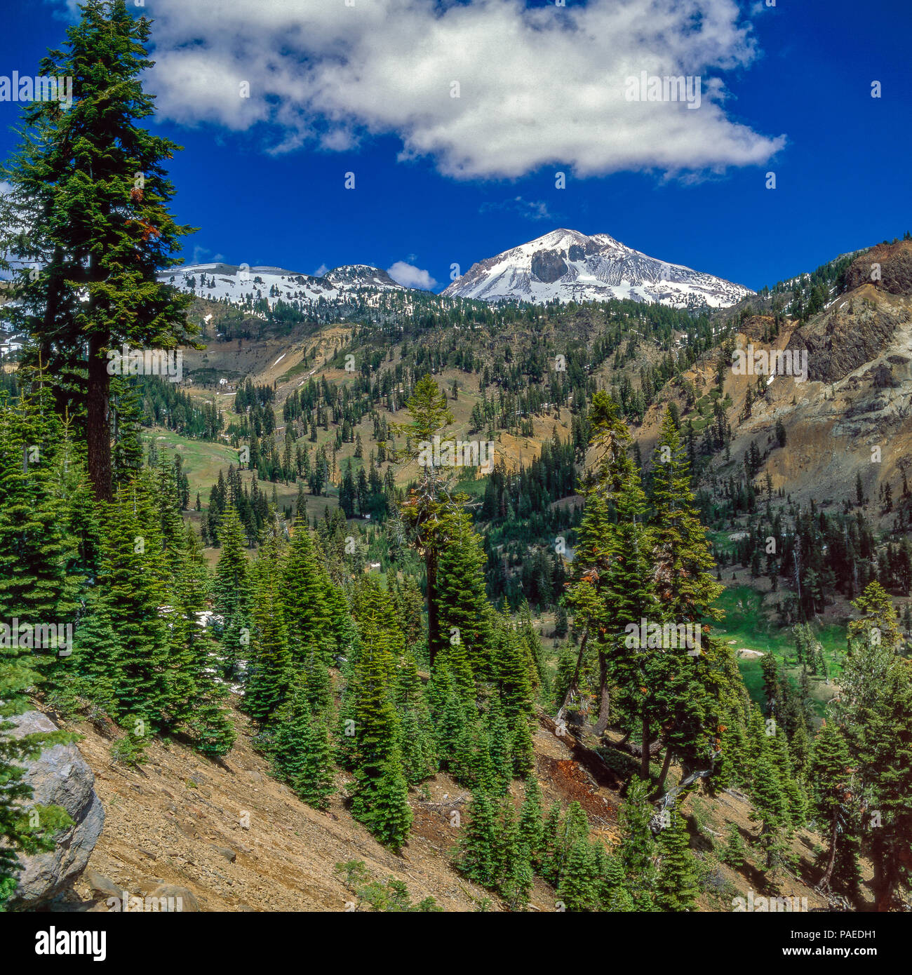 Hot Spring Valley, Pic Lassen Lassen Volcanic National Park, Californie, Banque D'Images