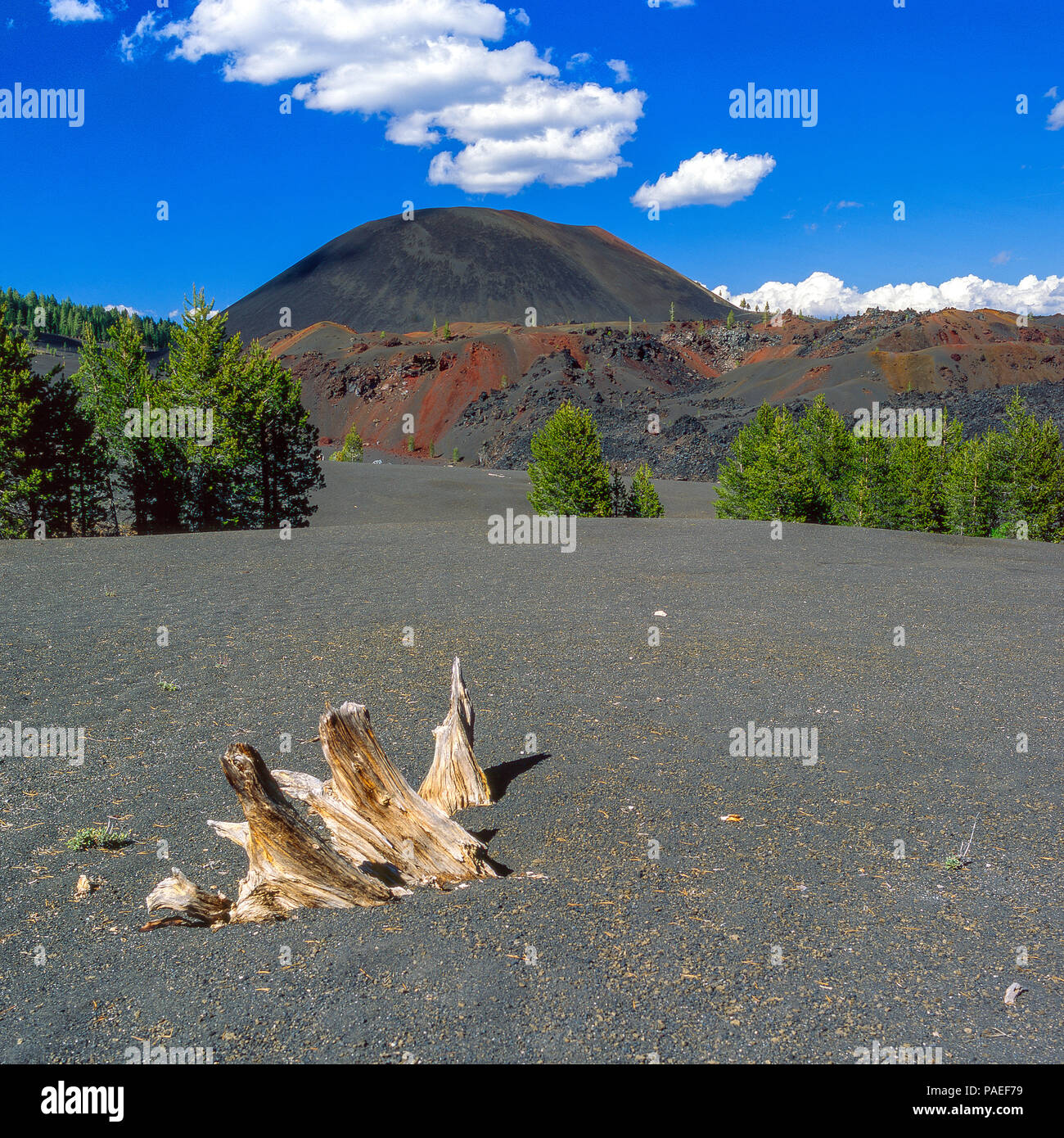 Cône de cendres volcaniques Lassen, National Park, Californie Banque D'Images