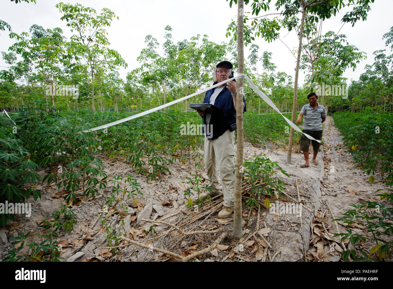 Scott Watson, un archéologue de l'Army Corps of Engineers des États-Unis, examine les coordonnées d'un chantier de fouilles dans la province de Tay Ninh, Vietnam, comme un agriculteur local semble sur, Mars 11, 2016. Watson est un leader de récupération pour la défense POW/MIA Agence Comptable (DPAA), et fait partie d'une équipe de rétablissement déployés à la recherche de deux membres du Service perdu dans un accident d'avion L-19 en 1967. La DPAA a pour mission de fournir à la comptabilité la plus complète possible pour nos employés manquants à leurs familles et à la nation. (DoD photo de Tech. Le Sgt. Kathrine Dodd, USAF/libérés) Banque D'Images
