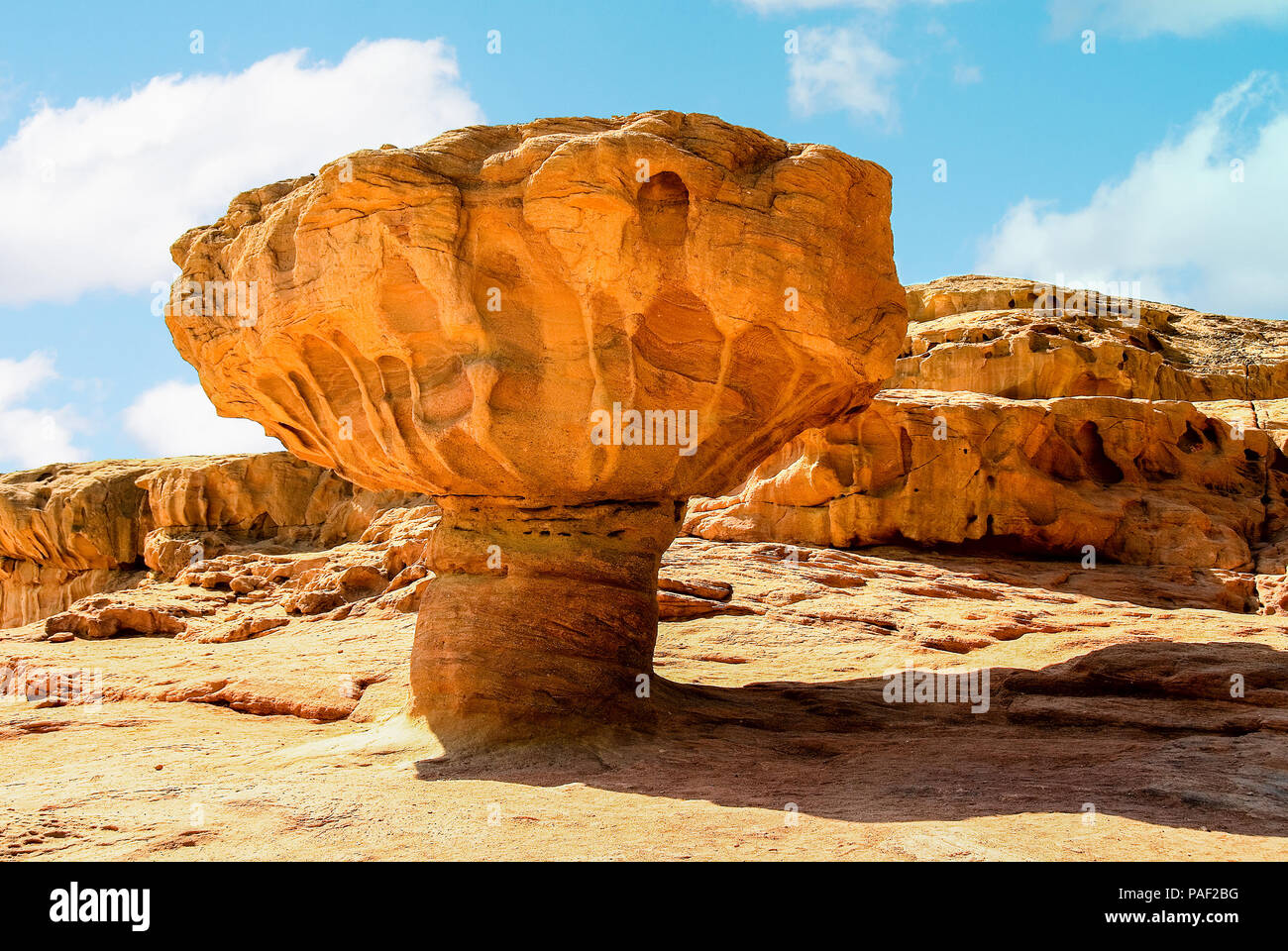 Champignons en pierre dans le parc Timna (sauver le tsar Solomon) près d'Eilat Banque D'Images
