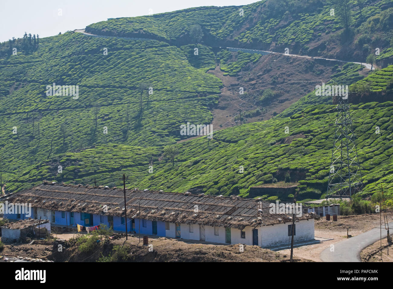 Hébergement pour les travailleurs d'une plantation de thé près de Valparai dans l'Etat du Tamil Nadu. Les mauvaises conditions de vie pour soi-disant tribus Thé, o Banque D'Images