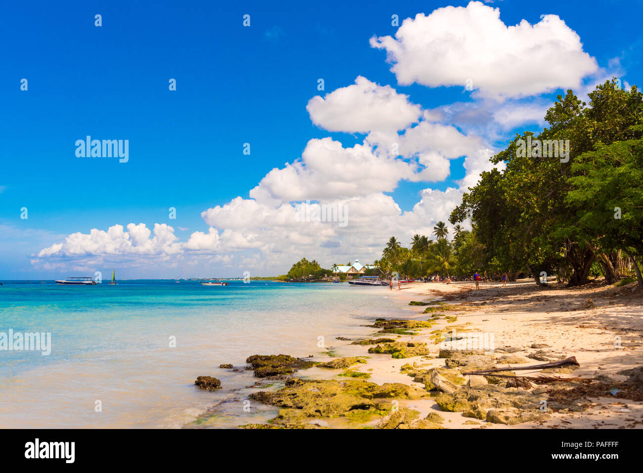 Plage de sable fin de Bayahibe, La Altagracia, République dominicaine. L'espace de copie pour le texte Banque D'Images