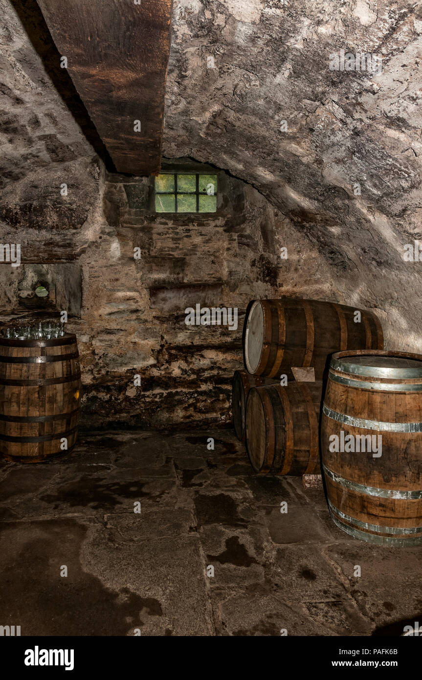 Une ancienne cave voûtée en pierre sombre avec une petite fenêtre et un fusil-port construit dans la paroi arrière, contenant cinq gros fûts hogshead en bois Banque D'Images