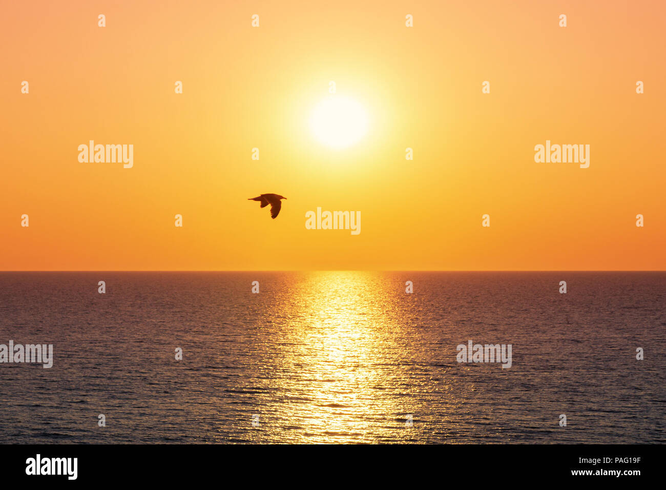 Coucher du soleil à Kampen, Sylt plage Banque D'Images