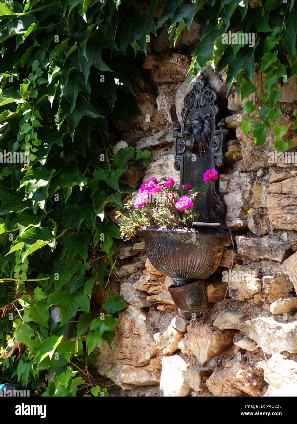 De plus près vue sur la cour et terrasse d'une merveilleuse maison privée près de Magalas dans la région Languedoc-Roussillon, France Banque D'Images