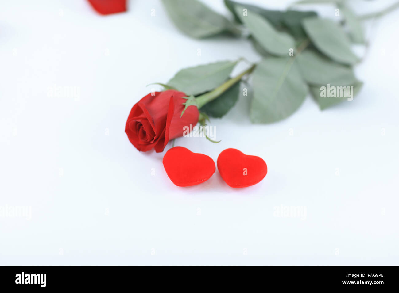 Deux coeurs rose et rouge sur fond blanc.concept d'amour Banque D'Images