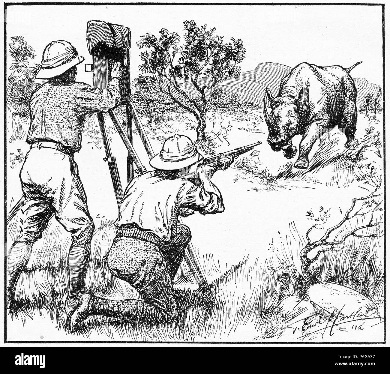 Gravure d'un photographe et sa compagne face à un rhinocéros de charge en Afrique. De chums, An Illustrated Magazine pour garçons, 1916. Banque D'Images
