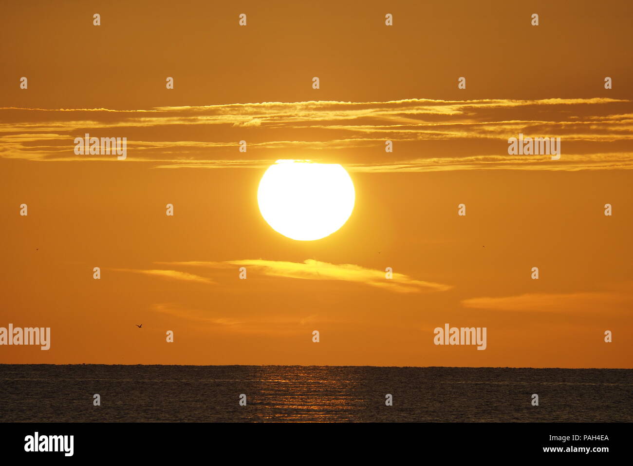 Coucher de soleil sur le golfe du Mexique sur Captiva Island au large de la côte ouest de la Floride, États-Unis. Banque D'Images