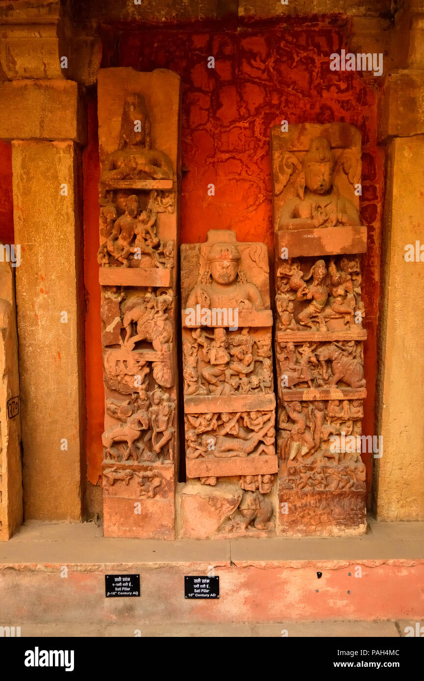 Fort de Gwalior en sculptures est un magnifique monument de l'Inde. Construit en 8e siècle a été le centre d'événements très importants dans l'histoire de l'Inde. Banque D'Images