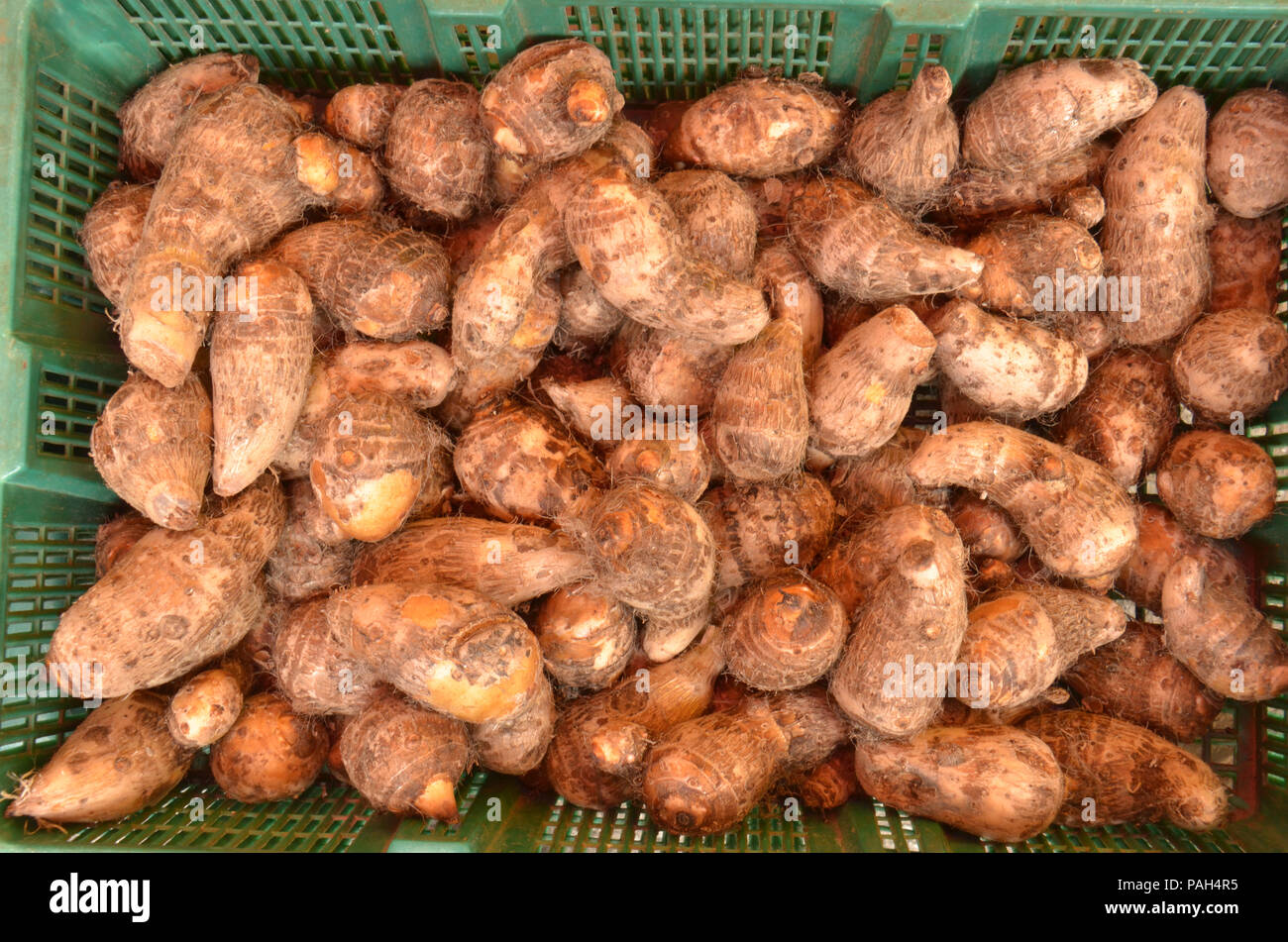 Sur l'affichage à l'un de plusieurs produits dans et autour de Georgetown, Malaisie Banque D'Images