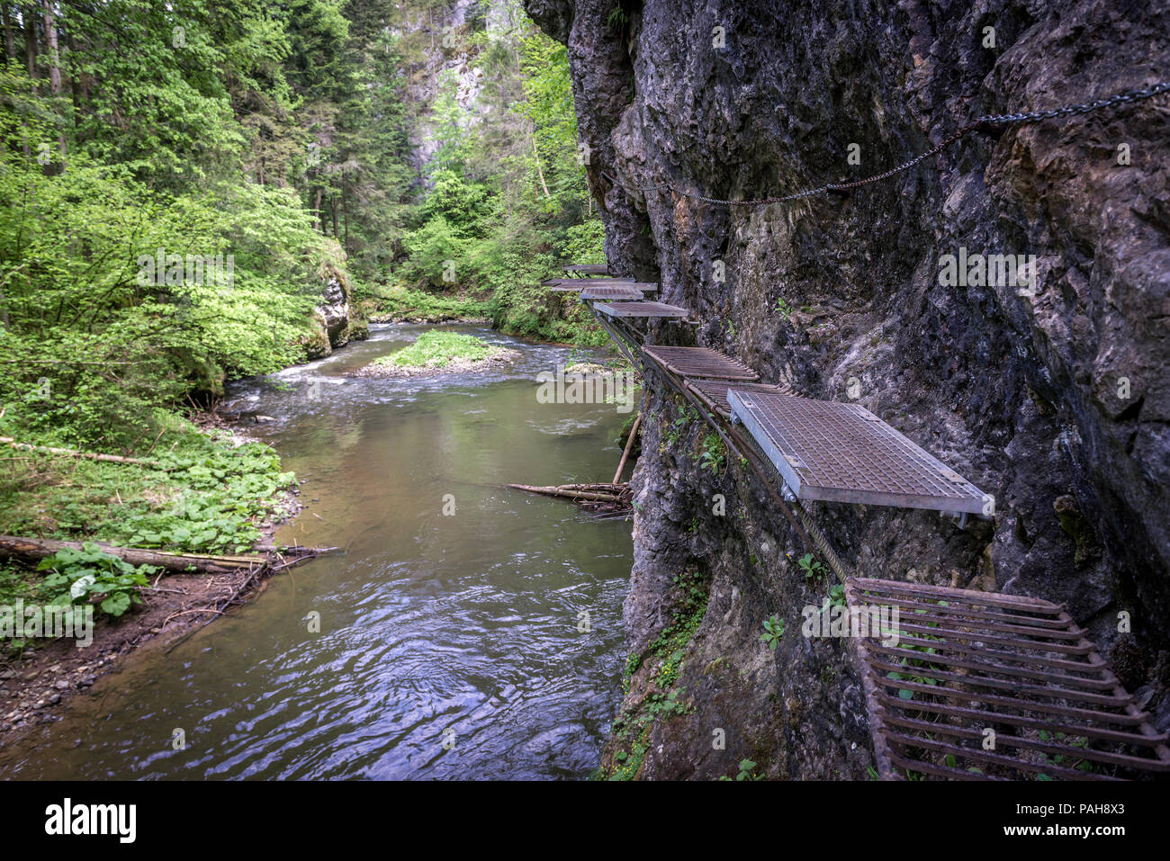 Étapes de fer et les chaînes sur le sentier de randonnée appelé Prielom Hornadu, le long de la rivière Hornad canyon dans le parc national du Paradis slovaque, Slovaquie Banque D'Images