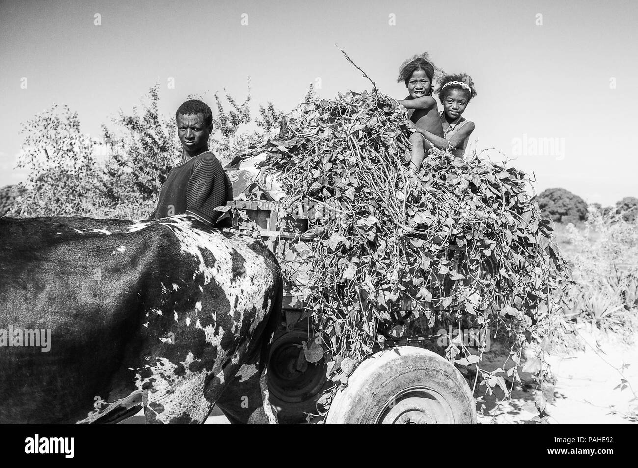 ANTANANARIVO, MADAGASCAR - Juillet 3, 2011 : Madagascar non identifiés pour jouer sur l'établi de feuilles. Les gens souffrent de la pauvreté à Madagascar en raison de sl Banque D'Images