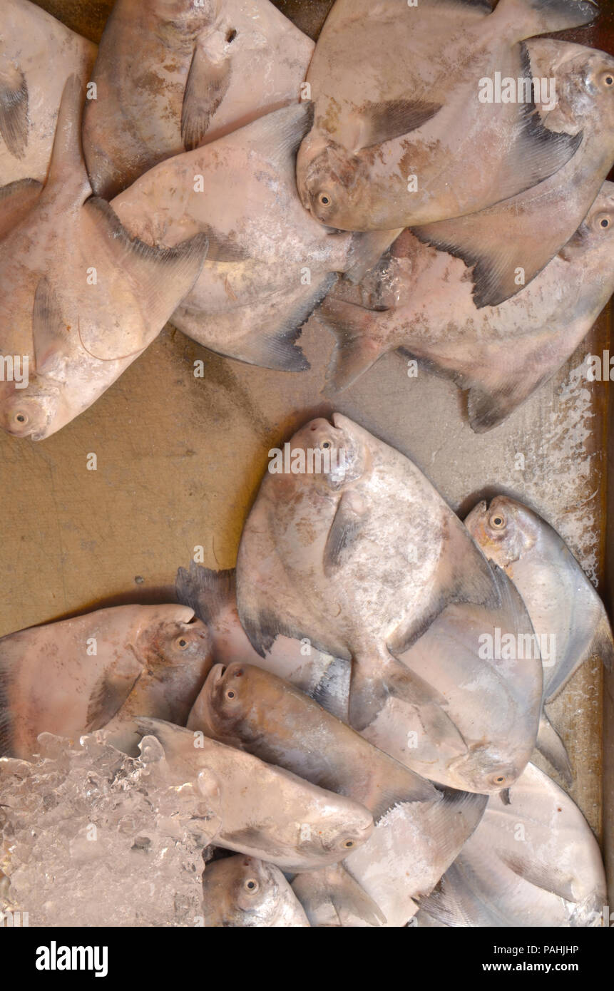 Sur l'affichage à l'un de plusieurs produits dans et autour de Georgetown, Malaisie Banque D'Images