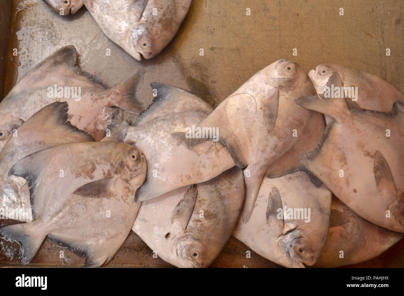 Sur l'affichage à l'un de plusieurs produits dans et autour de Georgetown, Malaisie Banque D'Images