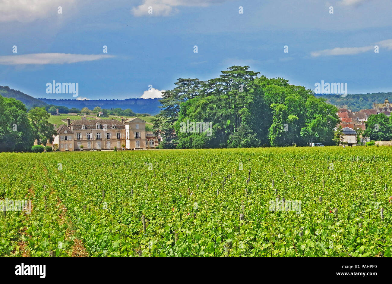 Le Château de Meursault, bourgogne, Meursault, Côte d Or, Bourgogne-Franche-Comté, France Banque D'Images