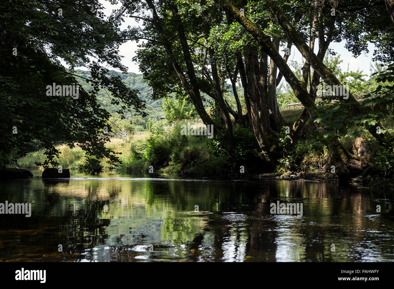 River Teign dans l'estuaire de la sécheresse,,ruisseau, affluent,beck, branche, Brook, bien sûr,Creek, petit ruisseau, Dartmoor, Banque D'Images