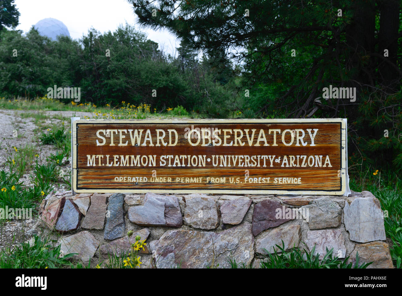 Un panneau en bois sculpté à la main à l'entrée du Steward Observatory, Mt Lemmon, exécuté par l'Université de l'Arizona, exploité par le US Forest Service Banque D'Images