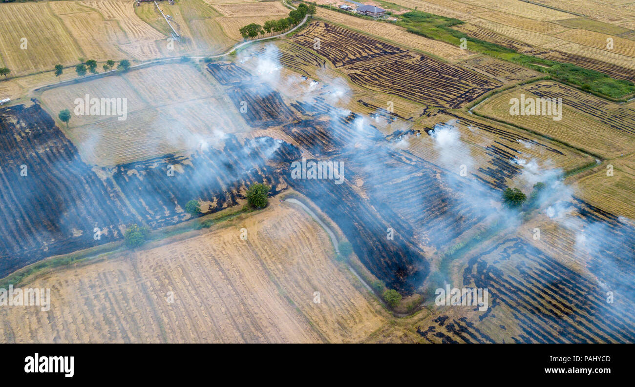 La fumée provenant des chaumes de riz sur la vue de dessus, la pollution de l'air concept Banque D'Images