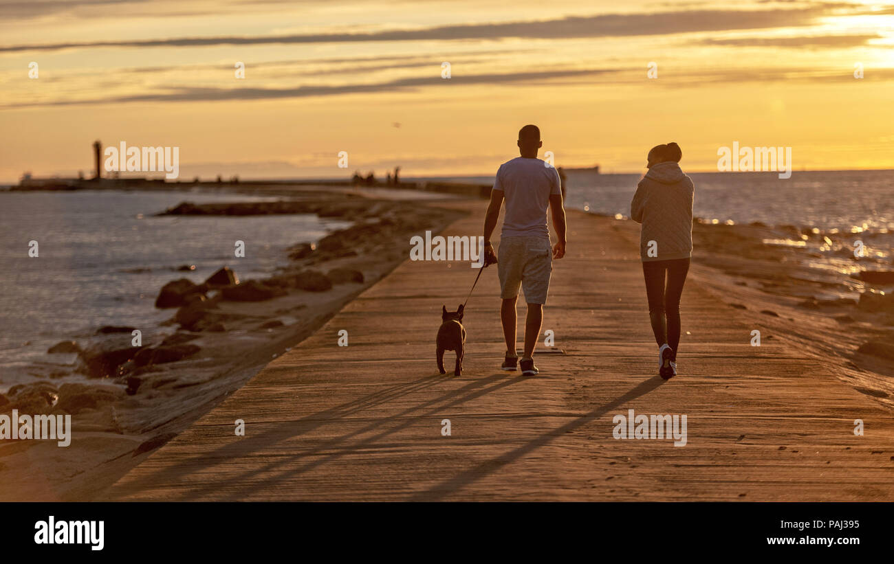 Au coucher du soleil les gens avec promenade de chiens sur la mole. Banque D'Images