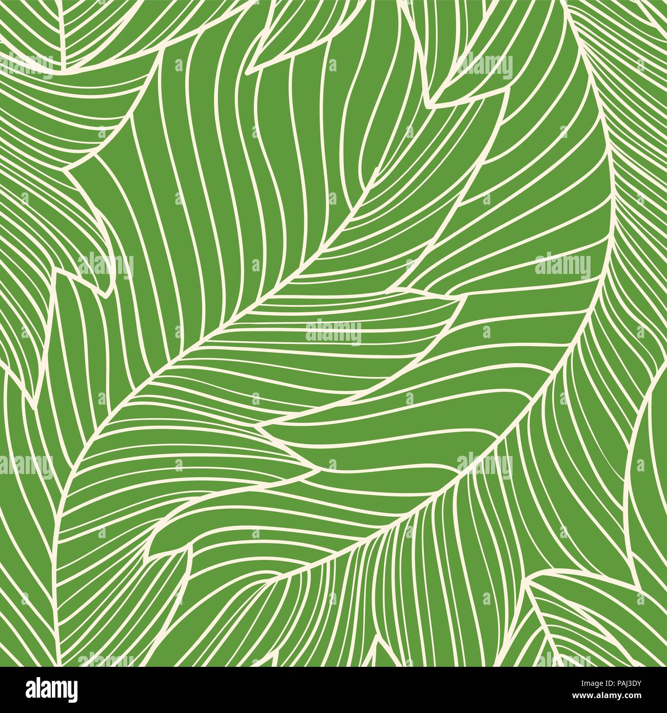 Feuilles de bananier gravure linéaire modèle transparent, motif floral de répétition Illustration de Vecteur