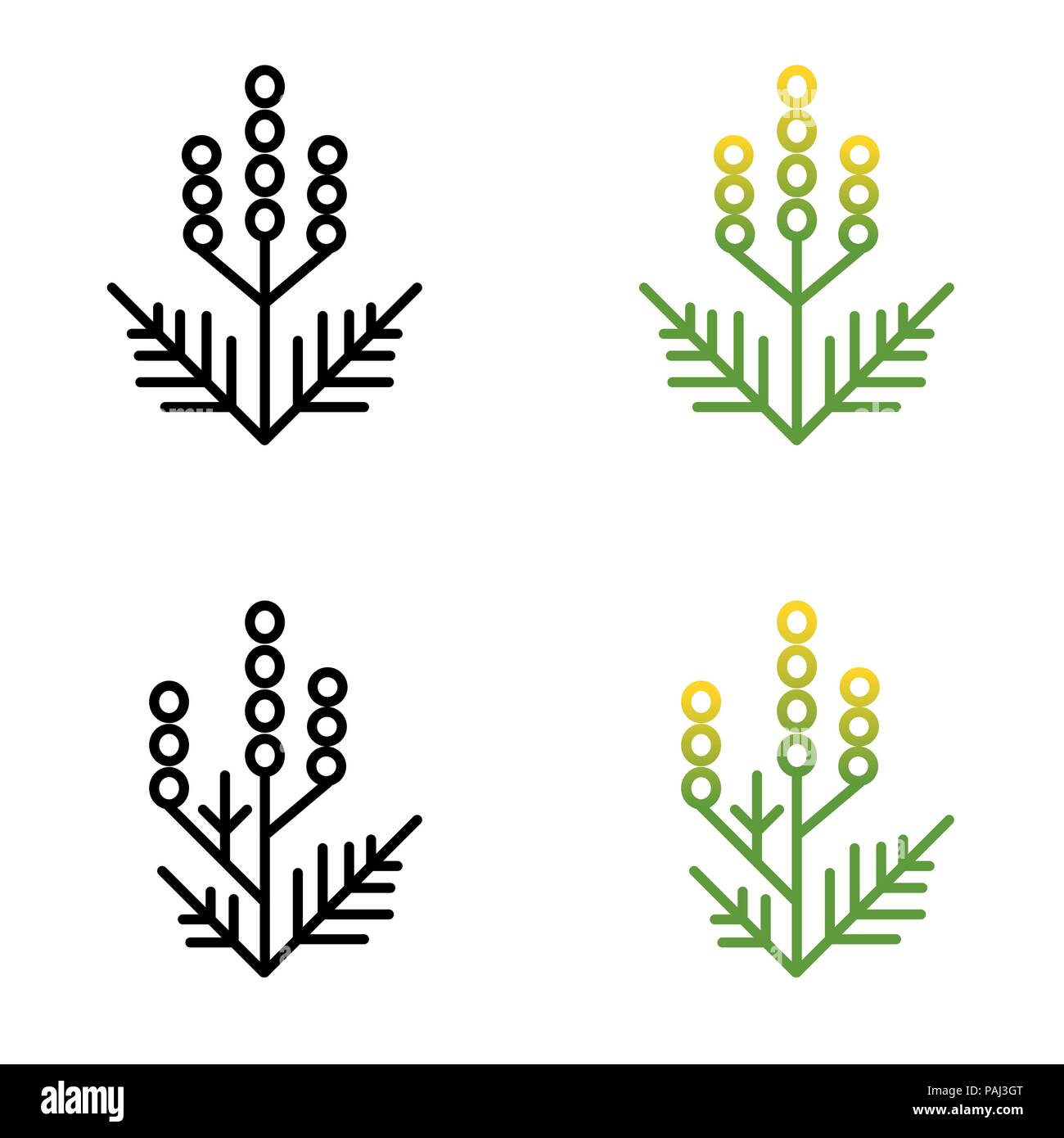 La ligne minimaliste de l'herbe à poux en deux styles peint art Illustration de Vecteur