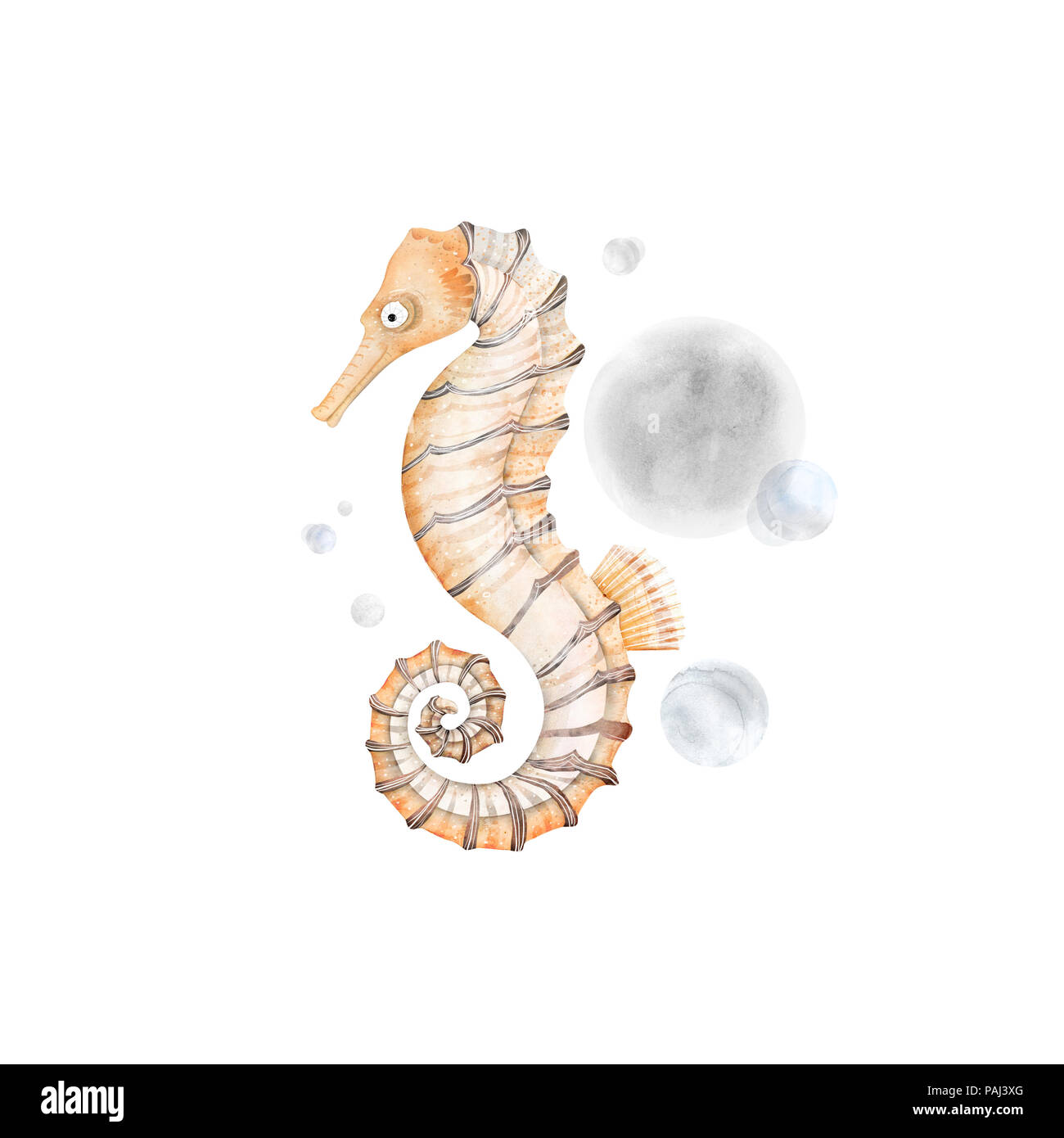 Seahorse avec bulles Banque D'Images