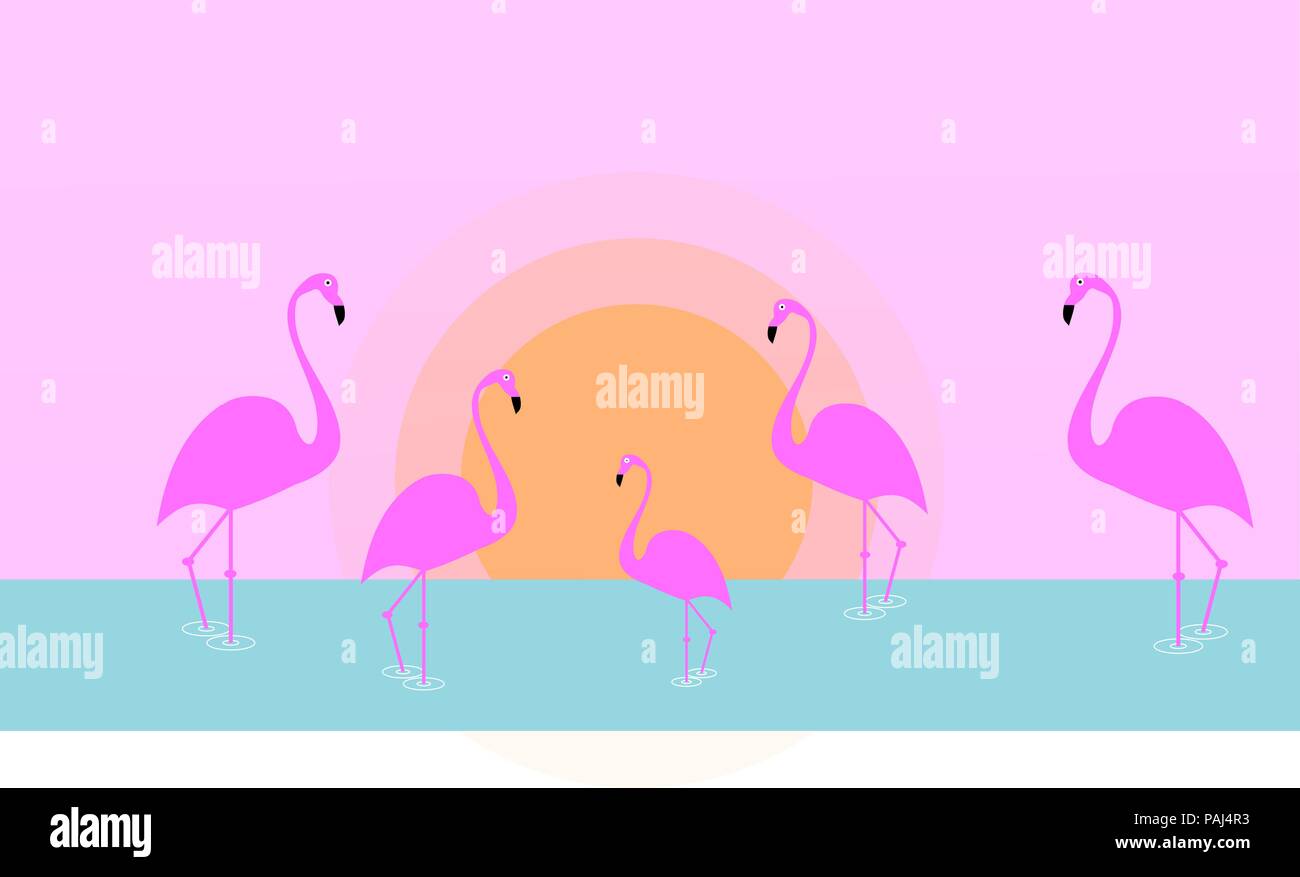 Flamingo bird illustration design sur l'arrière-plan. Style forfaitaire minime Illustration de Vecteur