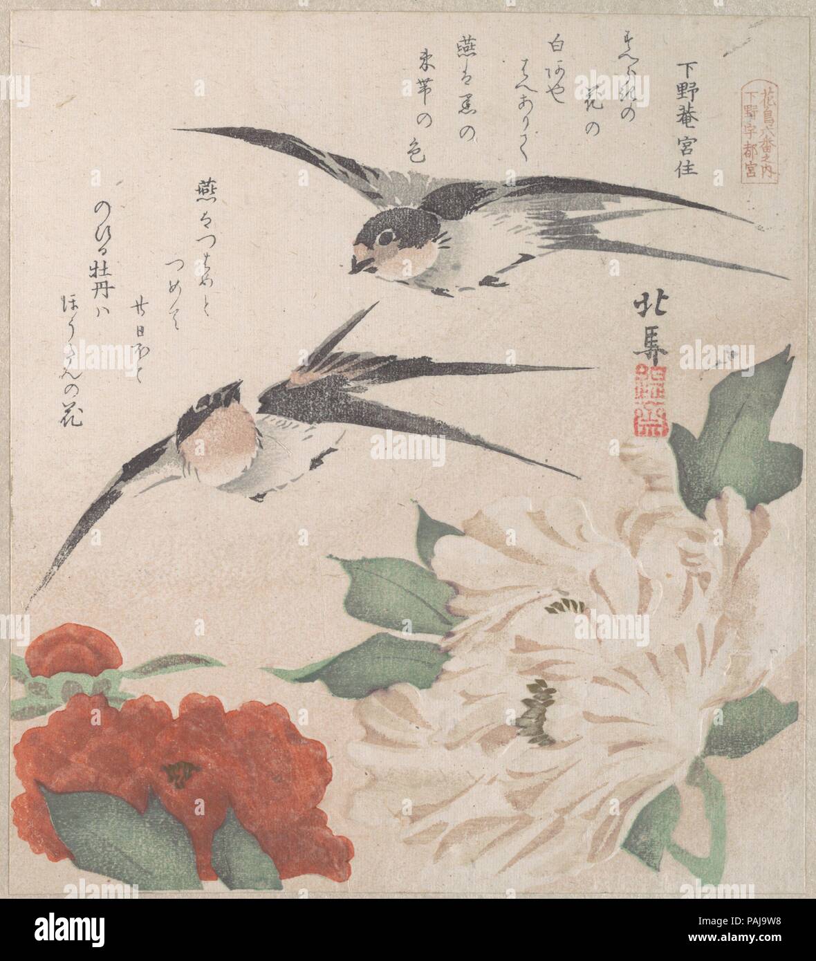 La Pluie de printemps Collection (Harusame shu), tome 3 : les hirondelles et pivoines. Artiste : Teisai Hokuba (japonais, 1771-1844). Culture : le Japon. Dimensions : 8 1/4 x 7 1/16 in. (21 x 17,9 cm). Date : ca. 1820. Surimono sont des estampes publiées, généralement commandées par des poètes ou des groupes de la poésie comme une forme de carte de vœux du Nouvel An. Les poèmes, le plus souvent kyoka (witty trente et une syllabe verset), inscrits sur les impressions comprennent généralement l'imagerie heureuse connecté avec le printemps, qui dans le calendrier lunaire commence le premier jour du premier mois. Thèmes des surimono sont souvent érudit, Banque D'Images