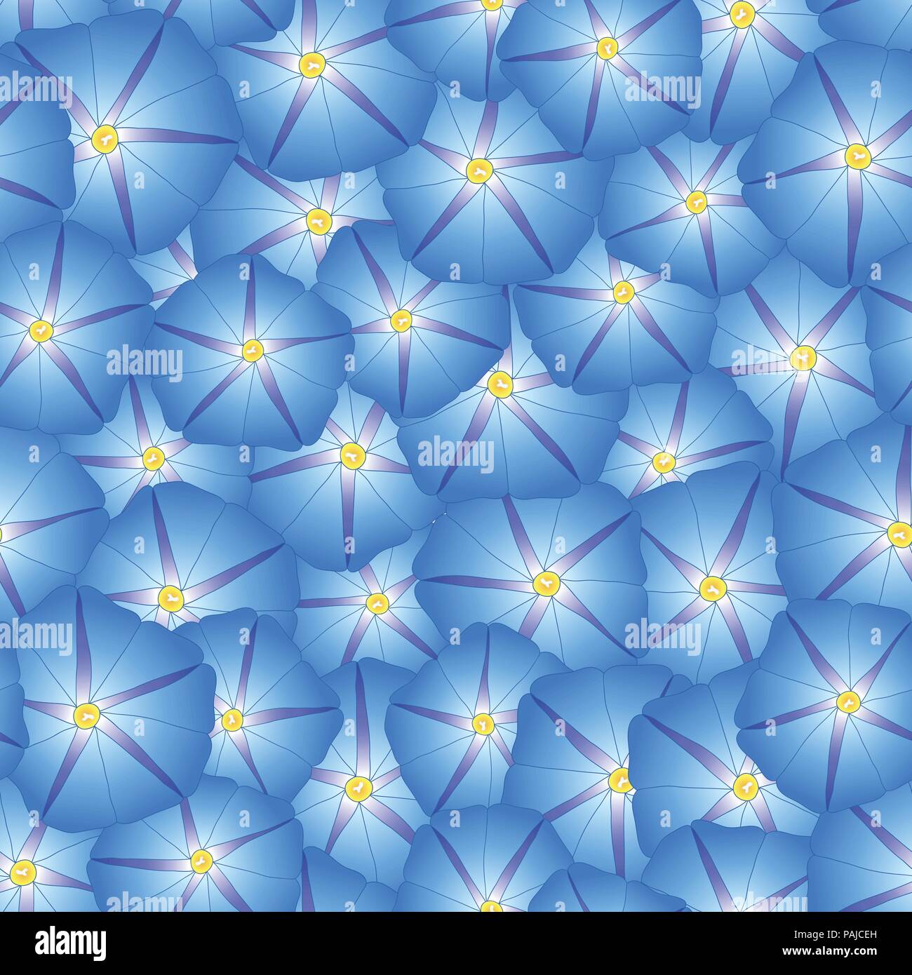 Gloire du Matin Bleu Fleur Fond transparent. Vector Illustration. Illustration de Vecteur