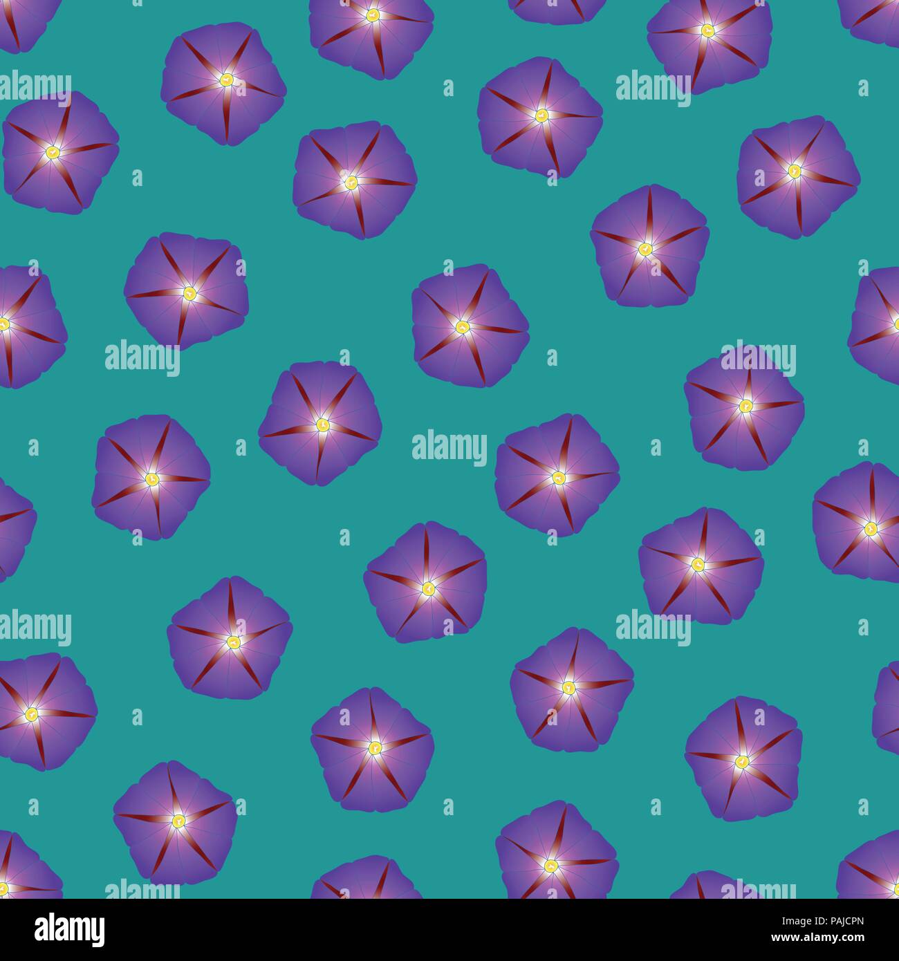 Purple Morning Glory fleur sur fond bleu sarcelle vert. Vector Illustration. Illustration de Vecteur