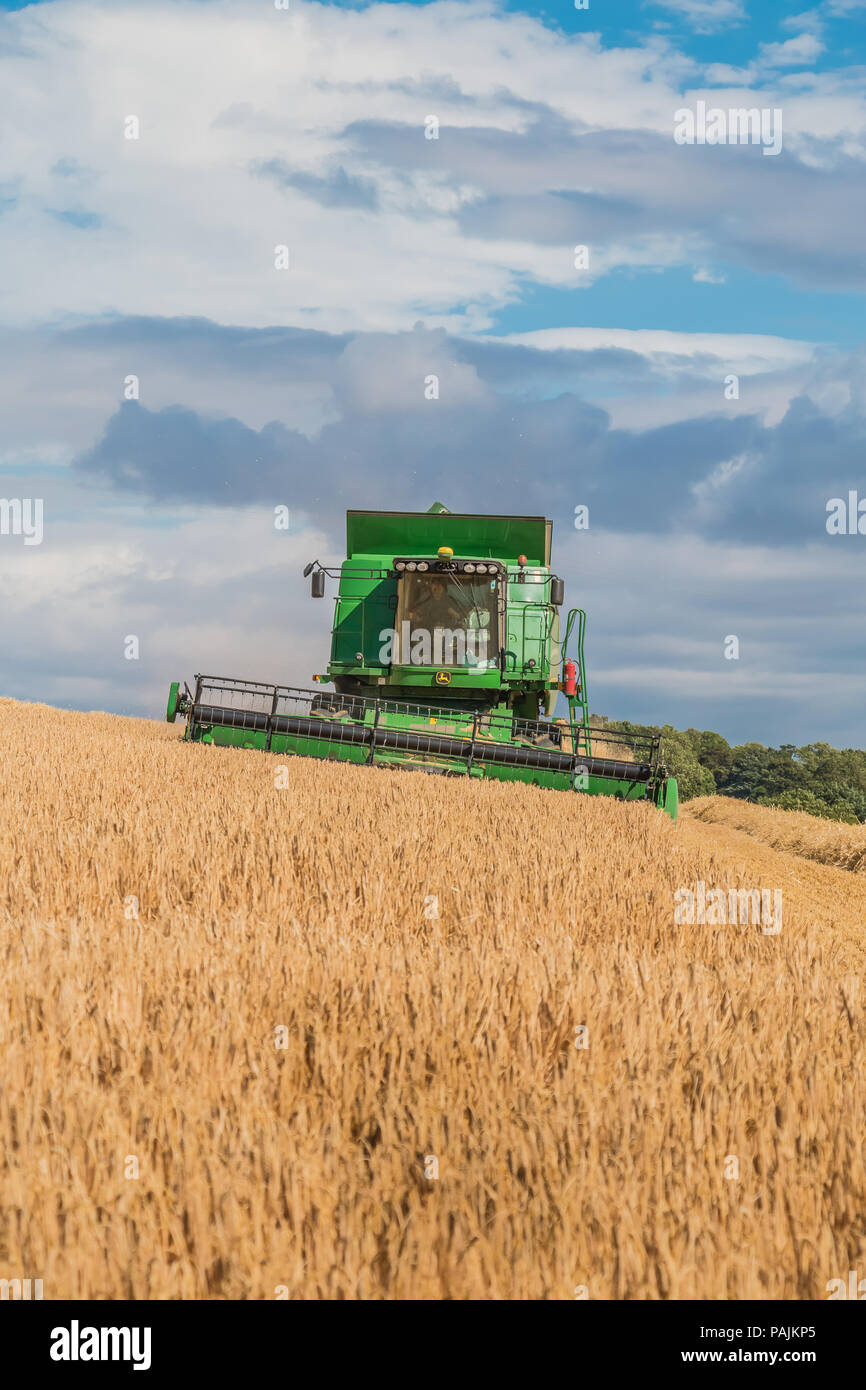 L'agriculture britannique, un John Deere moissonneuse-batteuse Hillmaster au travail sur une récolte d'orge d'hiver, avec copie espace Banque D'Images