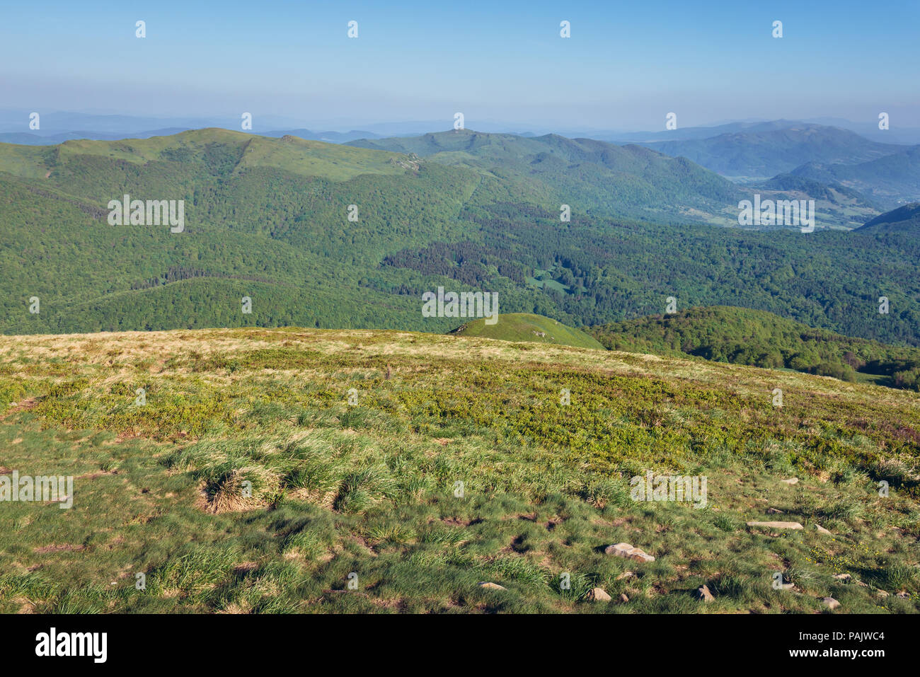 Vue aérienne de pointe dans le Tarnica Bieszczady, dans le sud de la Pologne, l'un des pics de la couronne polonaise Banque D'Images