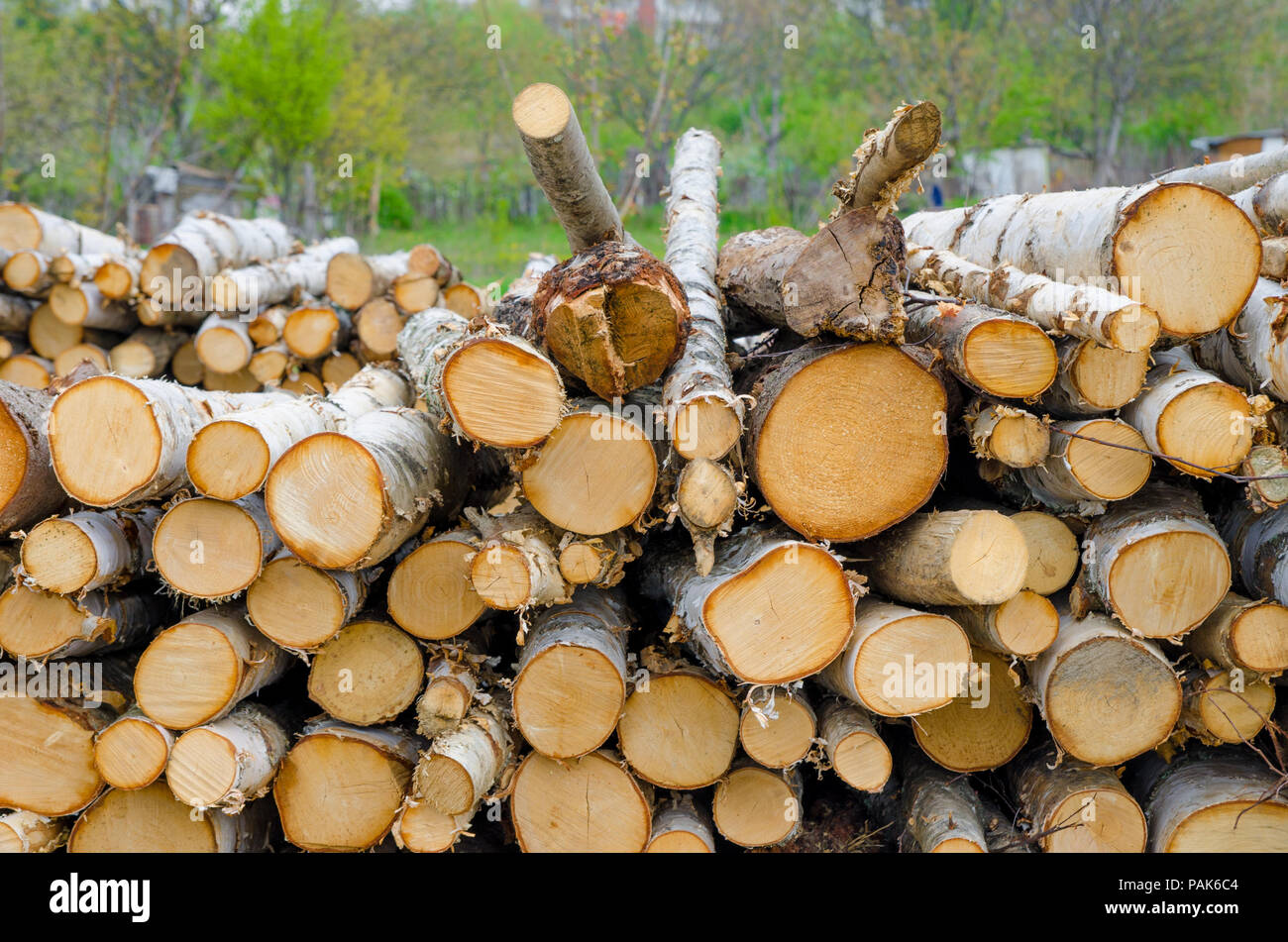 Dans une pile de bois haché prêt à être utilisé comme carburant Banque D'Images