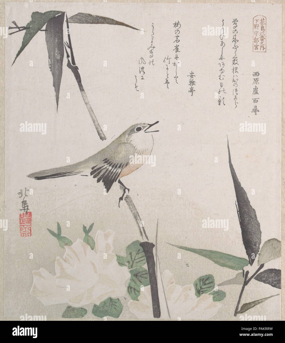 Roses et de bambou avec Rossignol. Artiste : Teisai Hokuba (japonais, 1771-1844). Culture : le Japon. Dimensions : 8 x 7 5/16 5/16 in. (21,1 x 18,6 cm). Date : du 19e siècle. Musée : Metropolitan Museum of Art, New York, USA. Banque D'Images