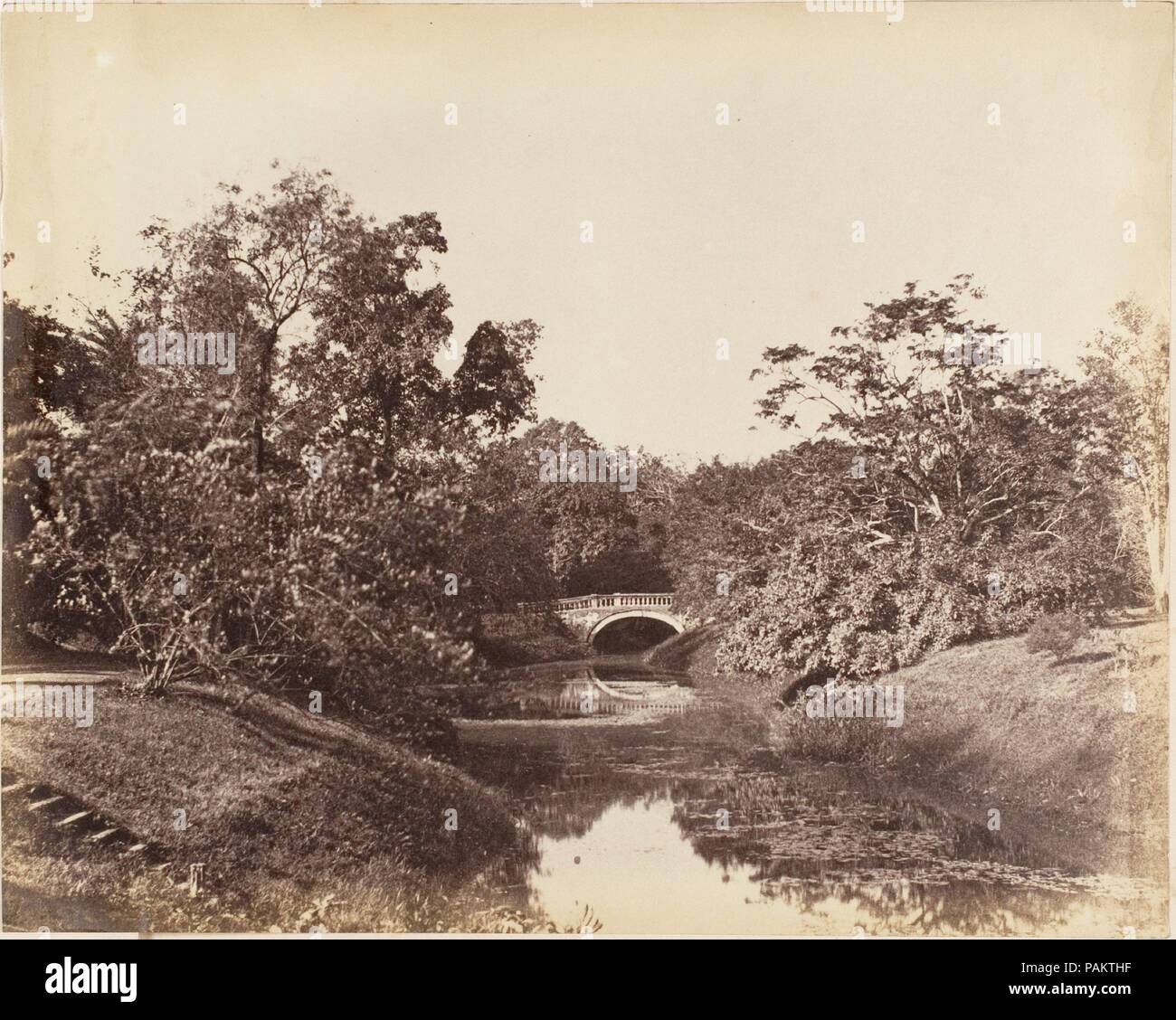 [Jardin Botanique, Calcutta]. Artiste : le capitaine R. B. Hill. Dimensions : 19,6 x 24,3 Image : cm (7 11/16 x 9 9/16 in.) Mont : 21,1 x 28 cm (8 5/16 x 11 in.). Date : 1850. Musée : Metropolitan Museum of Art, New York, USA. Banque D'Images