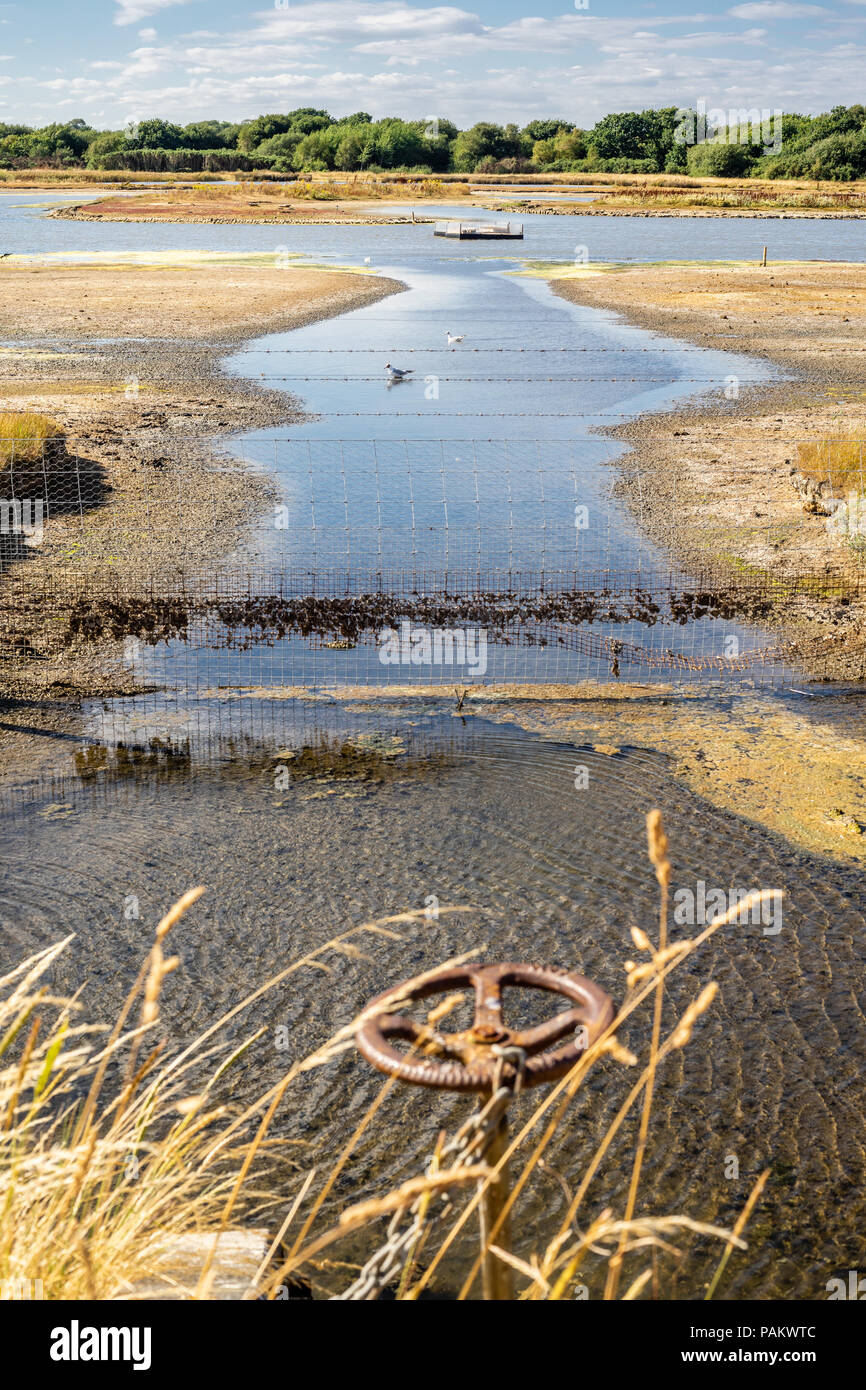 Vue sur Lymington et la Réserve Naturelle des Marais de Keyhaven lors de conditions météorologiques très sèches en juillet 2018, Lymington, Hampshire, England, UK Banque D'Images