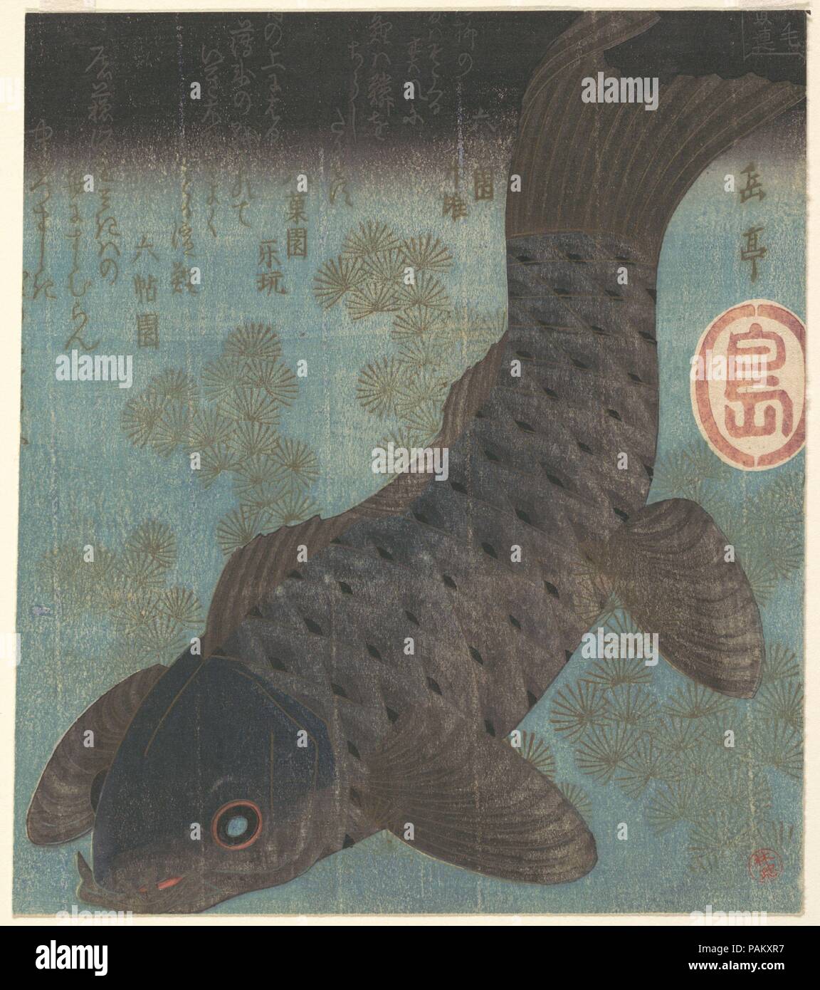 La carpe et le pin. Artiste : Yashima Gakutei (japonais, 1786 ?-1868). Culture : le Japon. Dimensions : 7 7/8 x 6 7/8 in. (20 x 17,5 cm). Commandé par le Club d'amis des Kamige, cette conception est la quintessence du surimono du poisson. Ici, les carpes, indiqué sous l'eau glauque, a été soigneusement rendus avec de nombreux blocs de couleur, la création d'une riche qualité tonale pour ses écailles. Dans le coin en bas à droite est un petit stamp lire 'Hayashi' ; c'est le sceau personnel de Tadamasa Hayashi, le grand expert et le concessionnaire de l'art japonais à Paris. Nul doute que cette impression a été acquis par Mme Havemeyer de Monsieur H Banque D'Images