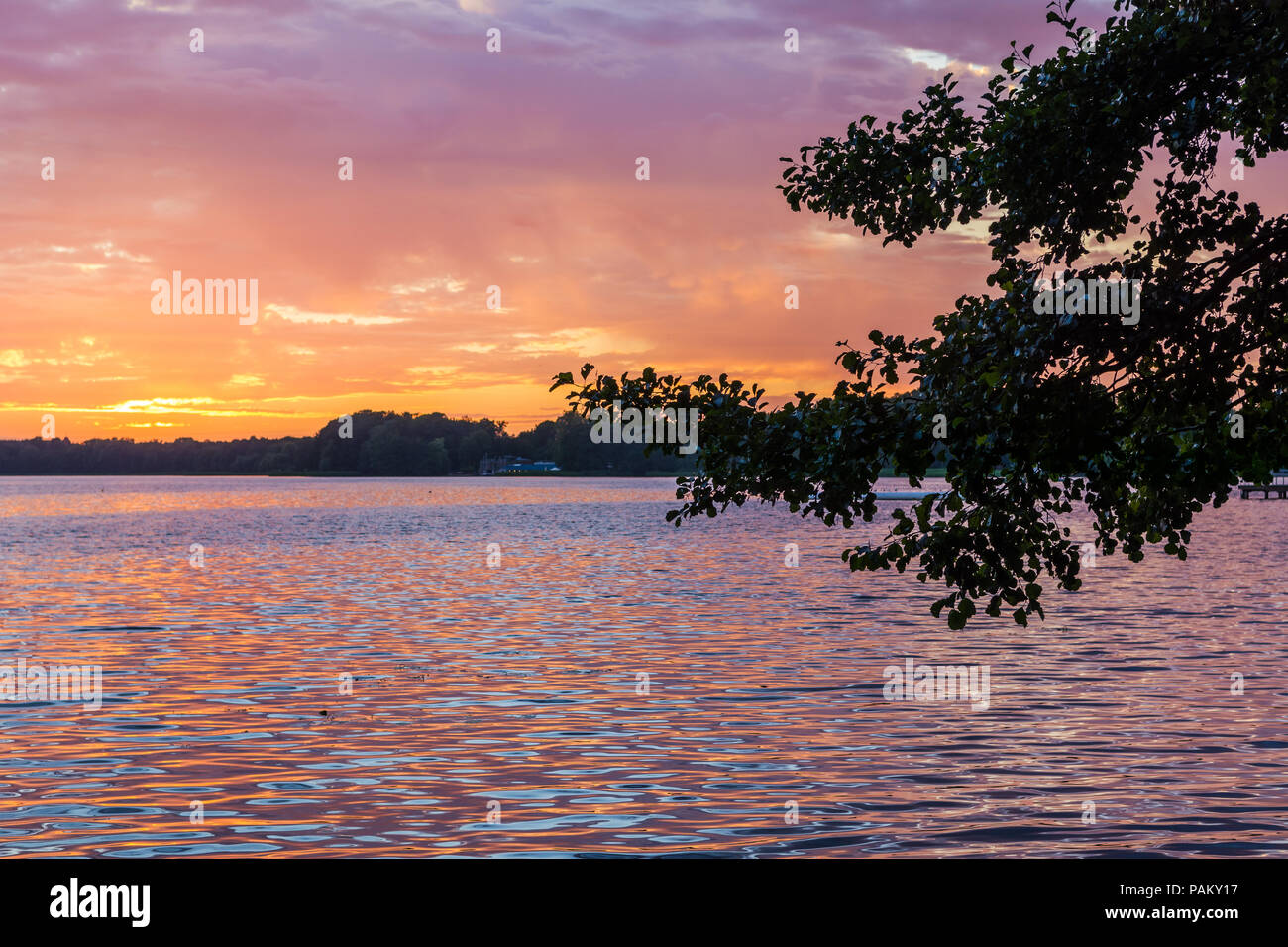 Coucher de soleil sur lac par branche d'arbre. Les nuages colorés étonnants. Banque D'Images