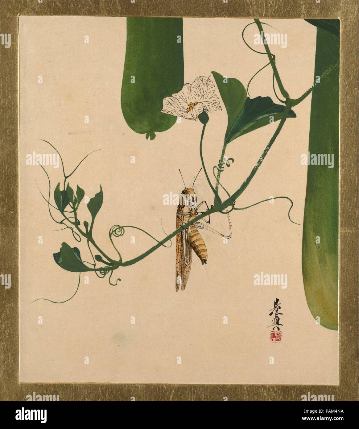 Peintures laques de divers sujets : Grasshopper sur Gourd Vine. Artiste : Shibata Zeshin (japonais, 1807-1891). Culture : le Japon. Dimensions : 7 1/2 x 6 1/2 in. (19,1 x 16,5 cm). Date : 1882. Le fort effet de couleur vu dans cet album est réalisé en utilisant une peinture laque comme moyen. La peinture avec du vernis sur papier est l'une des techniques Zeshin développé dans son propre style. Malgré le matériau lourd, Zeshin habile du pinceau et ses inventions techniques avec le matériel a permis de créer différentes textures qu'avec la peinture à l'encre. En outre, certaines techniques de laque, comme la mère-de-p Banque D'Images