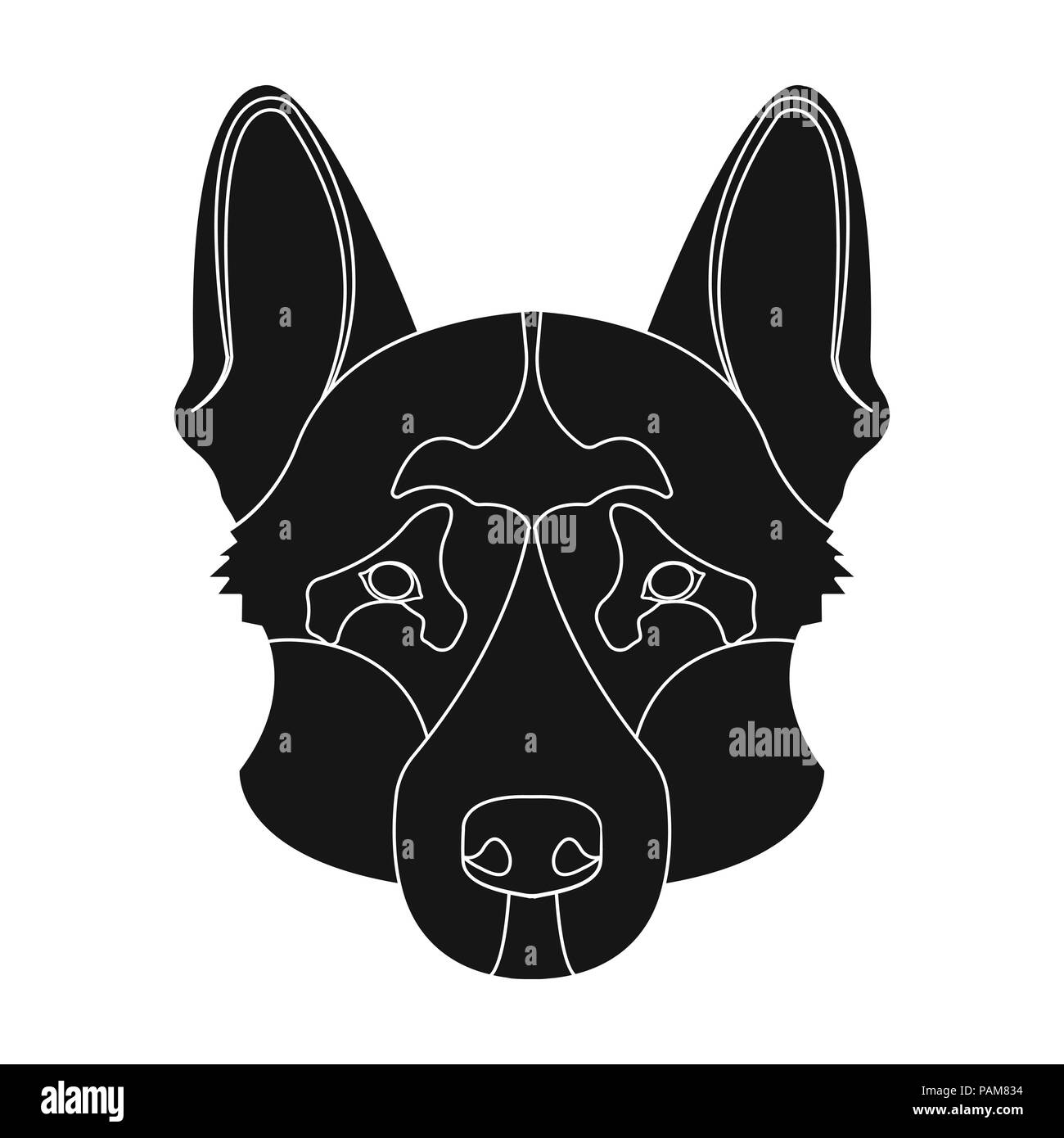 Race De Chien La Plus Populaire Au Monde Terrier D