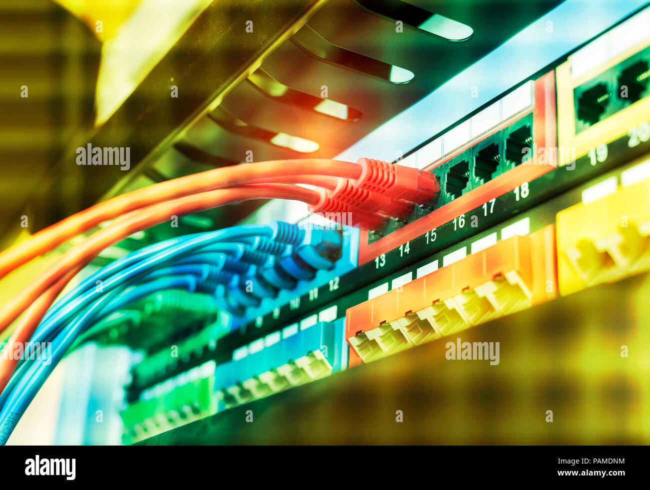 Rangée de câbles réseau sont connectés à un commutateur Banque D'Images