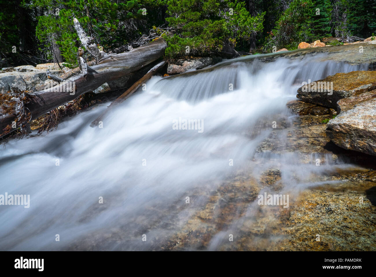 Descendant en cascade d'une paroi rocheuse le long de Tenaya Creek - Tioga Pass, Yosemite National Park Banque D'Images