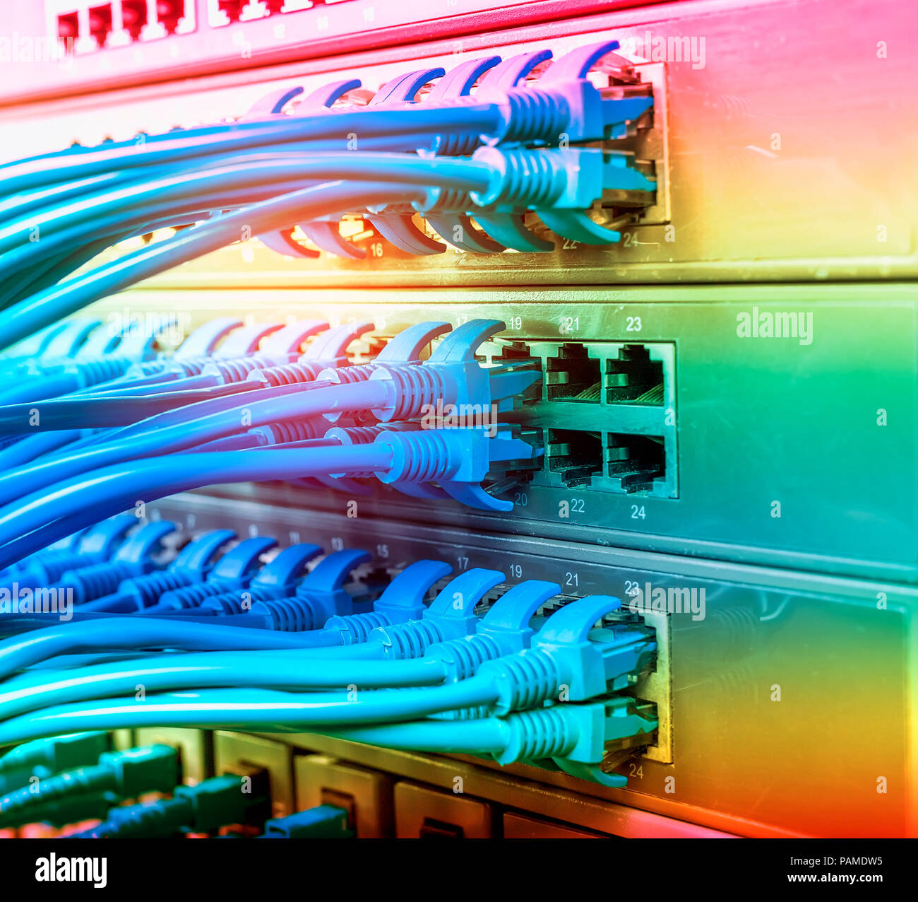 Rangée de câbles réseau sont connectés à un commutateur Banque D'Images