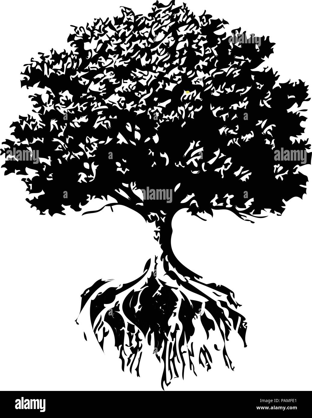 Les arbres et les racines d'ossature, de chênes et d'oliviers couleur noir et blanc Illustration de Vecteur