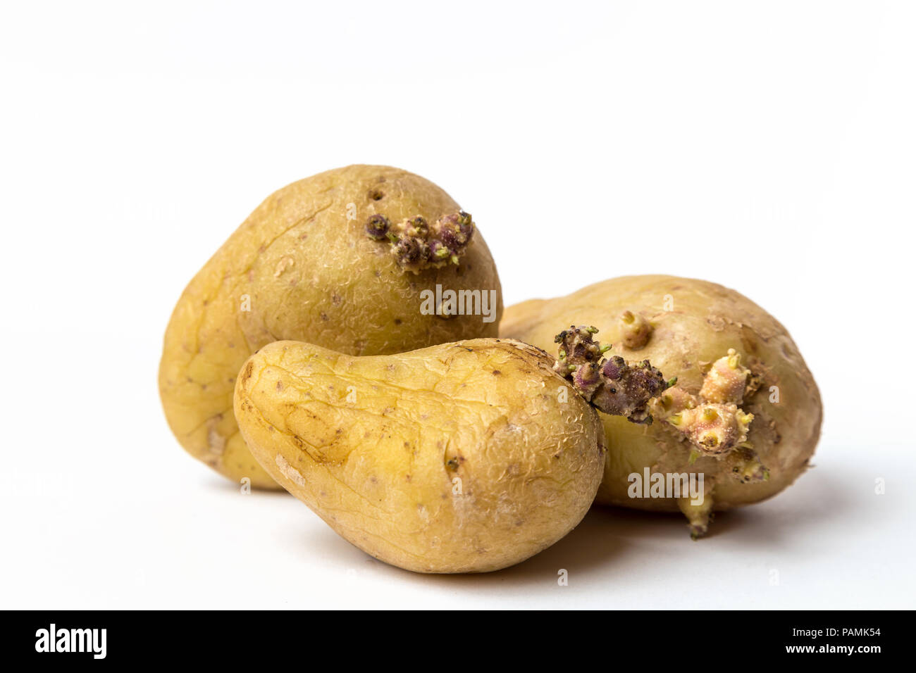 Pommes de terre anciennes Banque de photographies et d’images à haute — free download