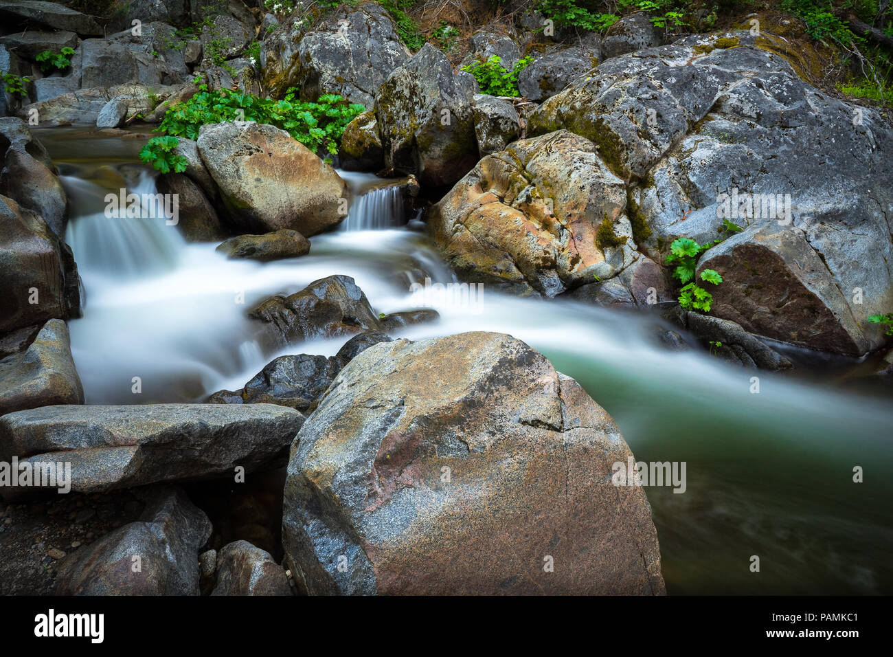 Des rochers et de petites cascades d'eau le long du ruisseau Carlon - Carlon Falls Trail - Yosemite National Park Banque D'Images