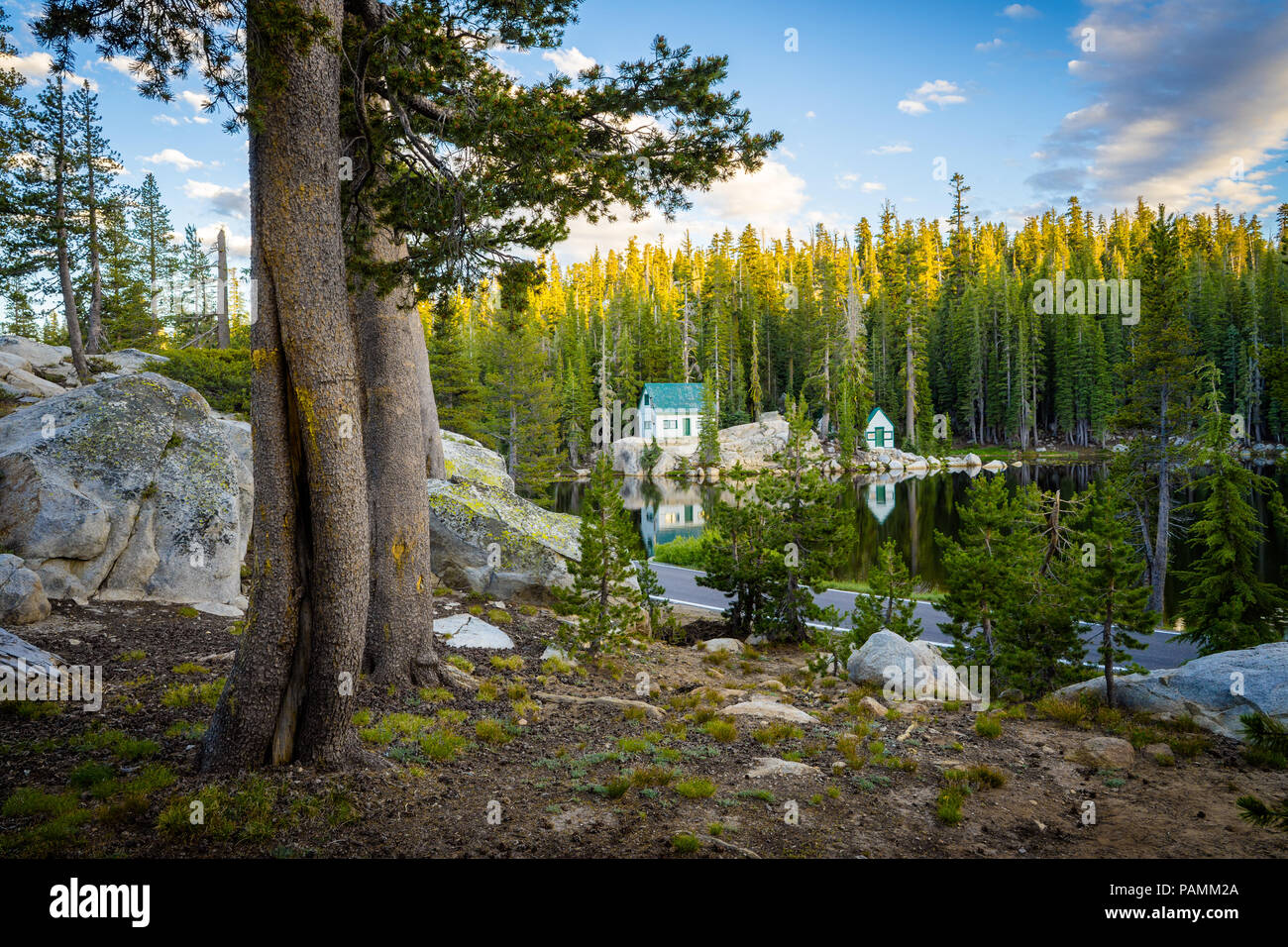 Camping la forêt National des moustiques à cabines et Campground - Sommet de grade du Pacifique sur la Route 4, en Californie Banque D'Images