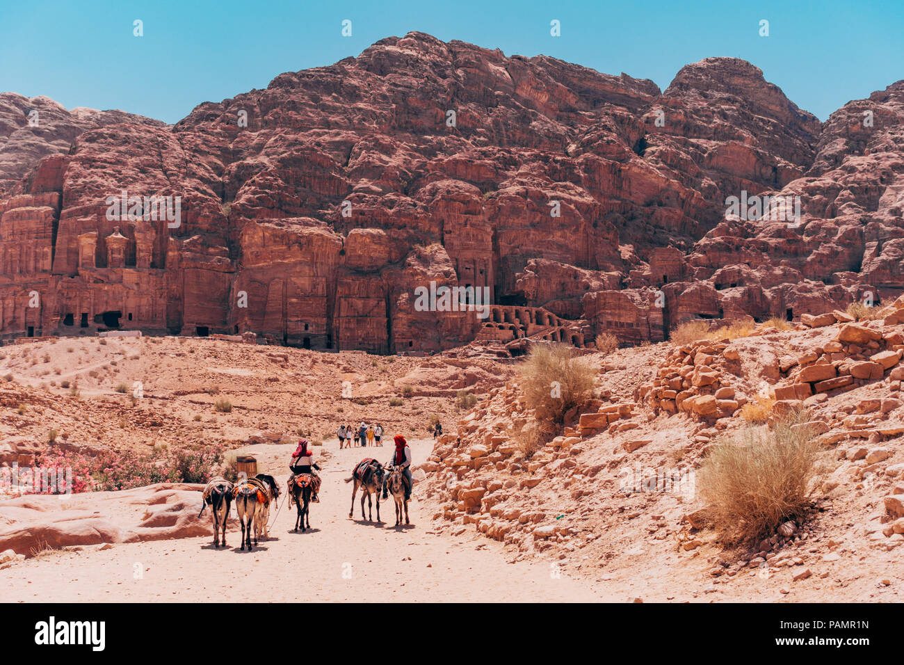 Les hommes sur des mulets le chemin principal descente jusqu'en face des tombes dans la cité perdue de Petra, Jordanie Banque D'Images