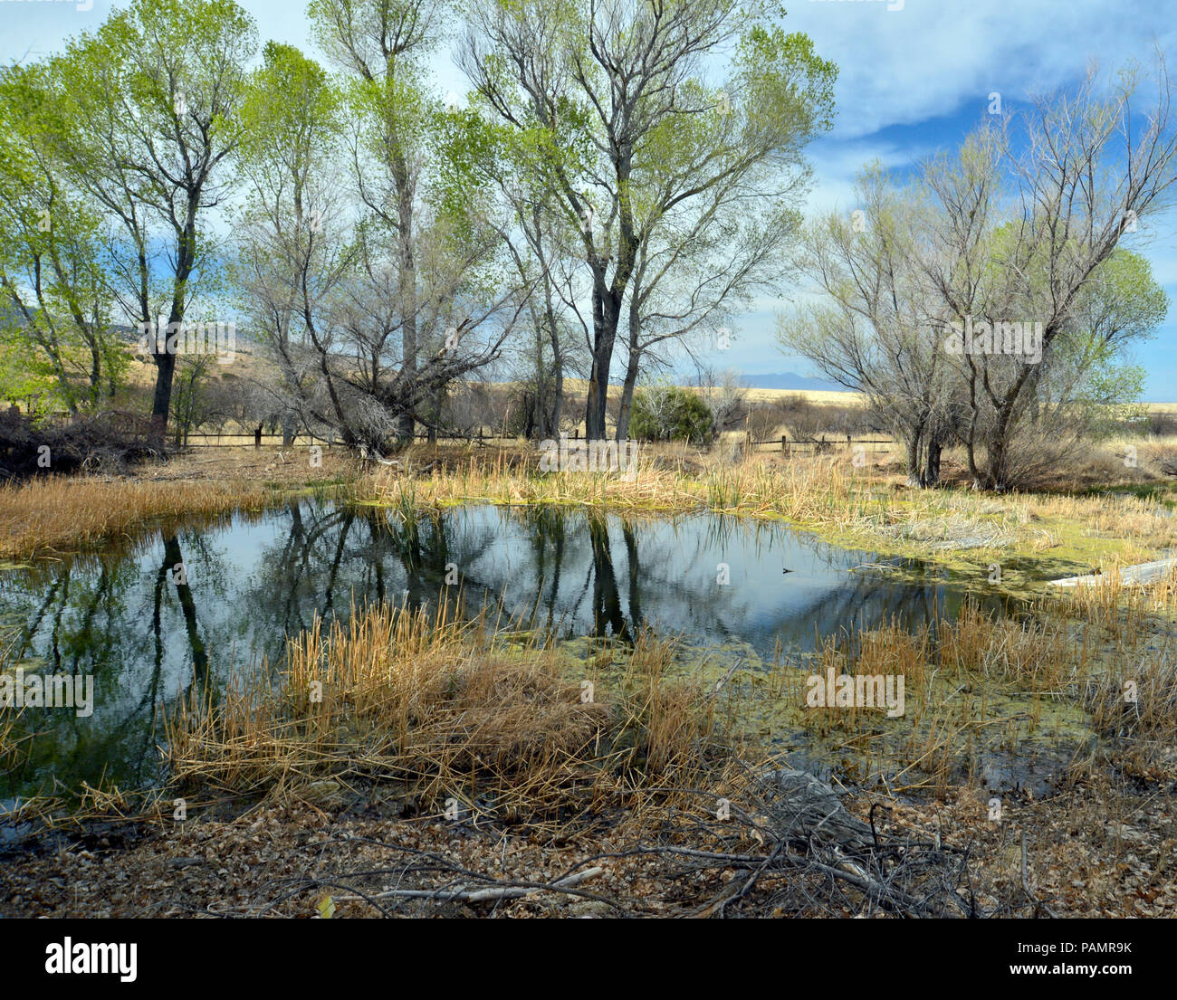 Le Brown Canyon Ranch est situé dans les contreforts de l'Huachuca Mtns de loin le sud de l'Arizona et remonte au début des années 1900. Banque D'Images