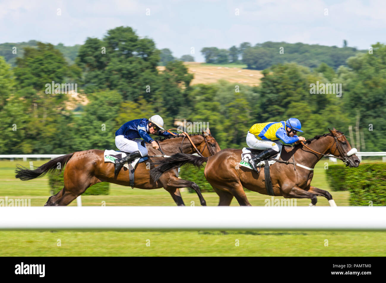 Chevaux près de la ligne d'arrivée, La Roche Posay hippodrome, Vienne, France. Banque D'Images